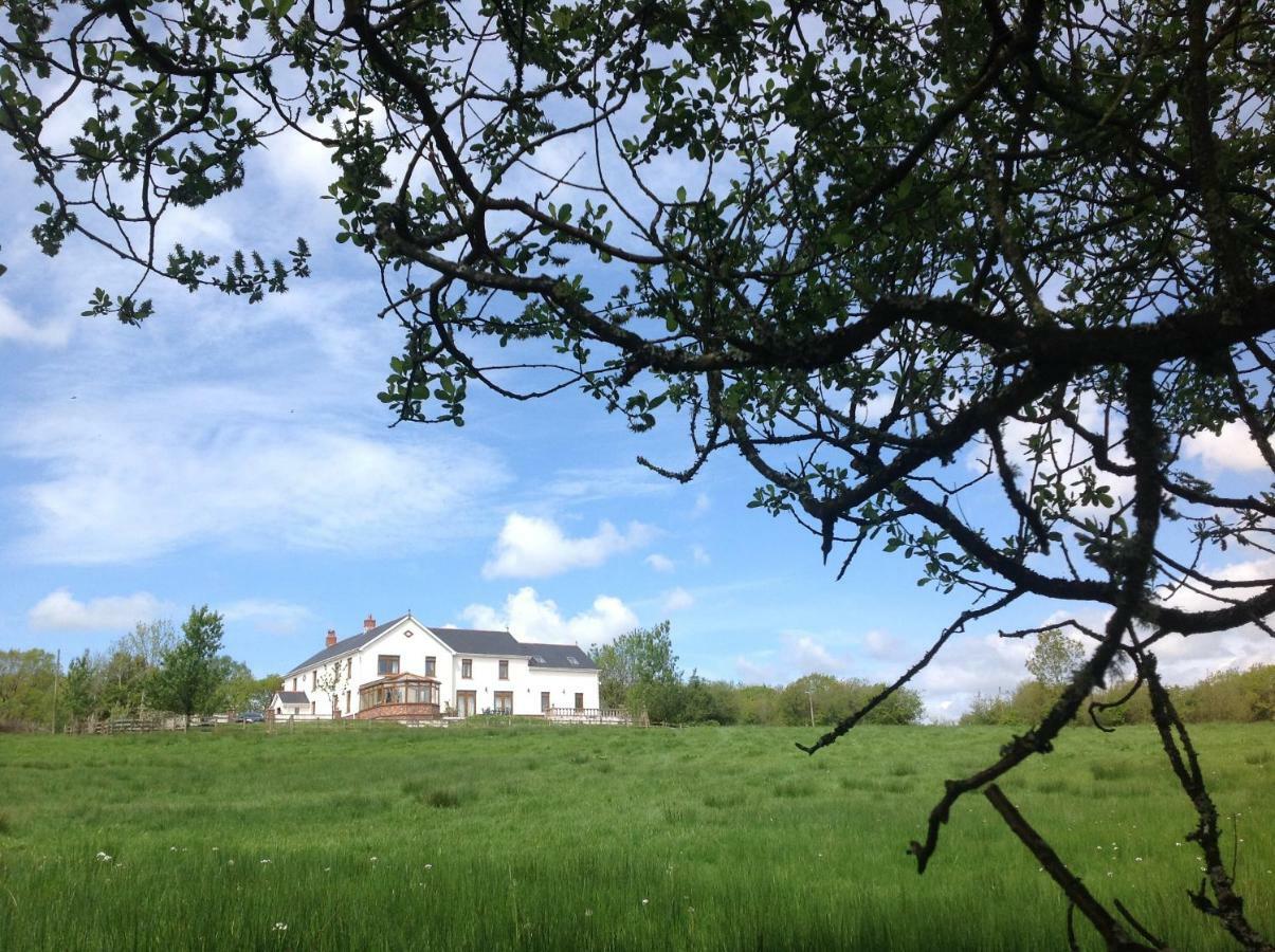 Penddaulwyn Uchaf Farm # Carmarthenshire Nantgaredig